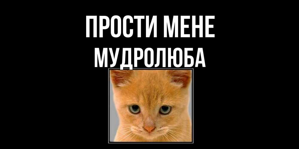 Открытка на каждый день з підписом, Мудролюба Прости мене рыжий грустный кот просит прощения Прикольна листівка з побажанням онлайн скачати безкоштовно 