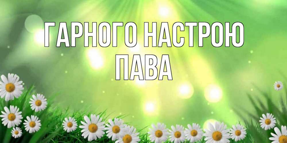 Открытка на каждый день з підписом, Пава Гарного настрою открытка с ромашками и солнечными лучами Прикольна листівка з побажанням онлайн скачати безкоштовно 