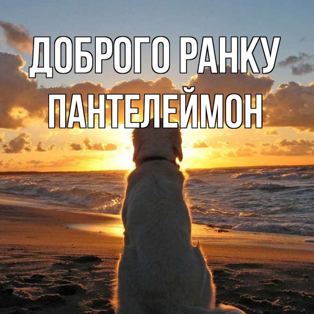 Открытка на каждый день з підписом, Пантелеймон Доброго ранку восход солнца Прикольна листівка з побажанням онлайн скачати безкоштовно 