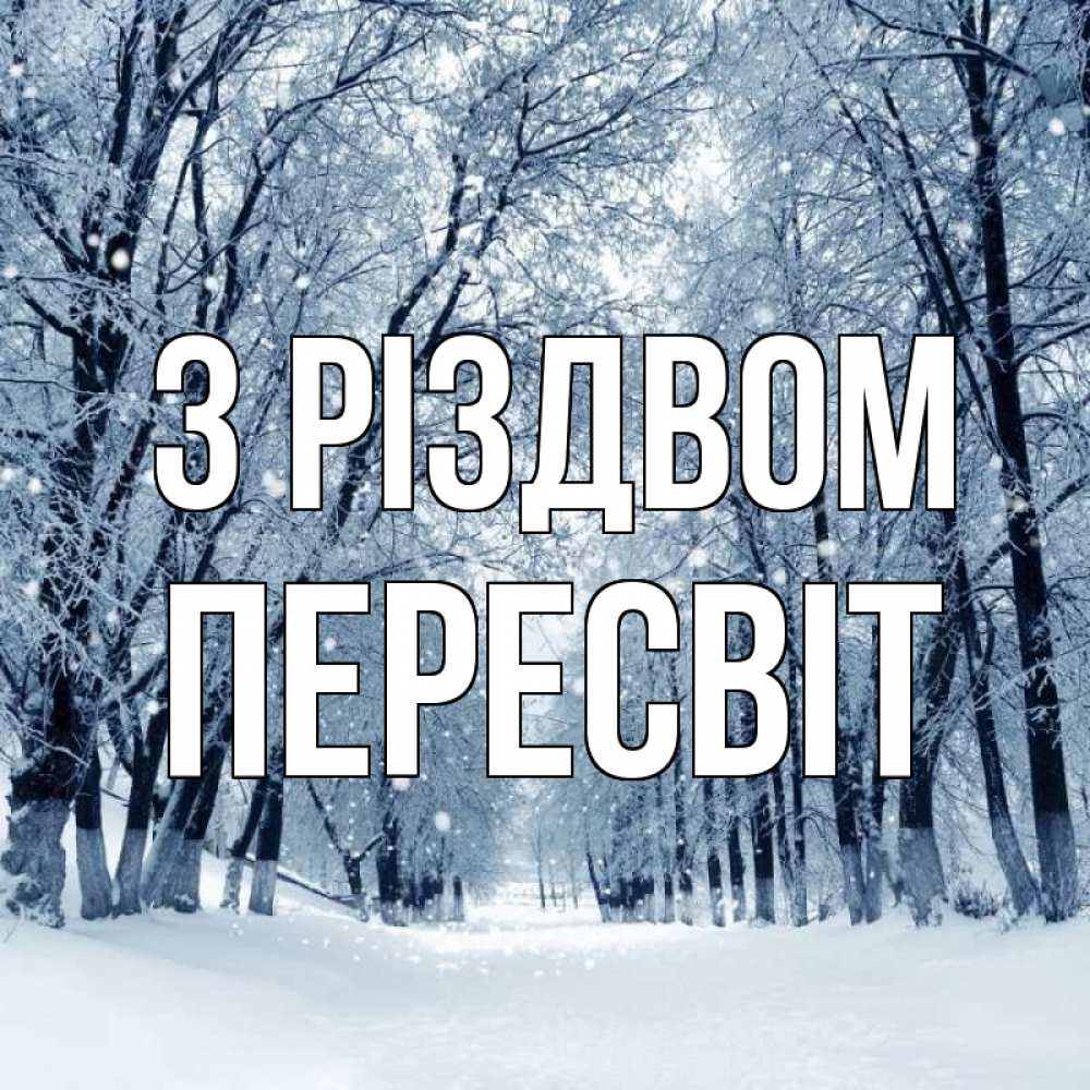 Открытка на каждый день з підписом, Пересвіт З Різдвом снег, лес, парк Прикольна листівка з побажанням онлайн скачати безкоштовно 