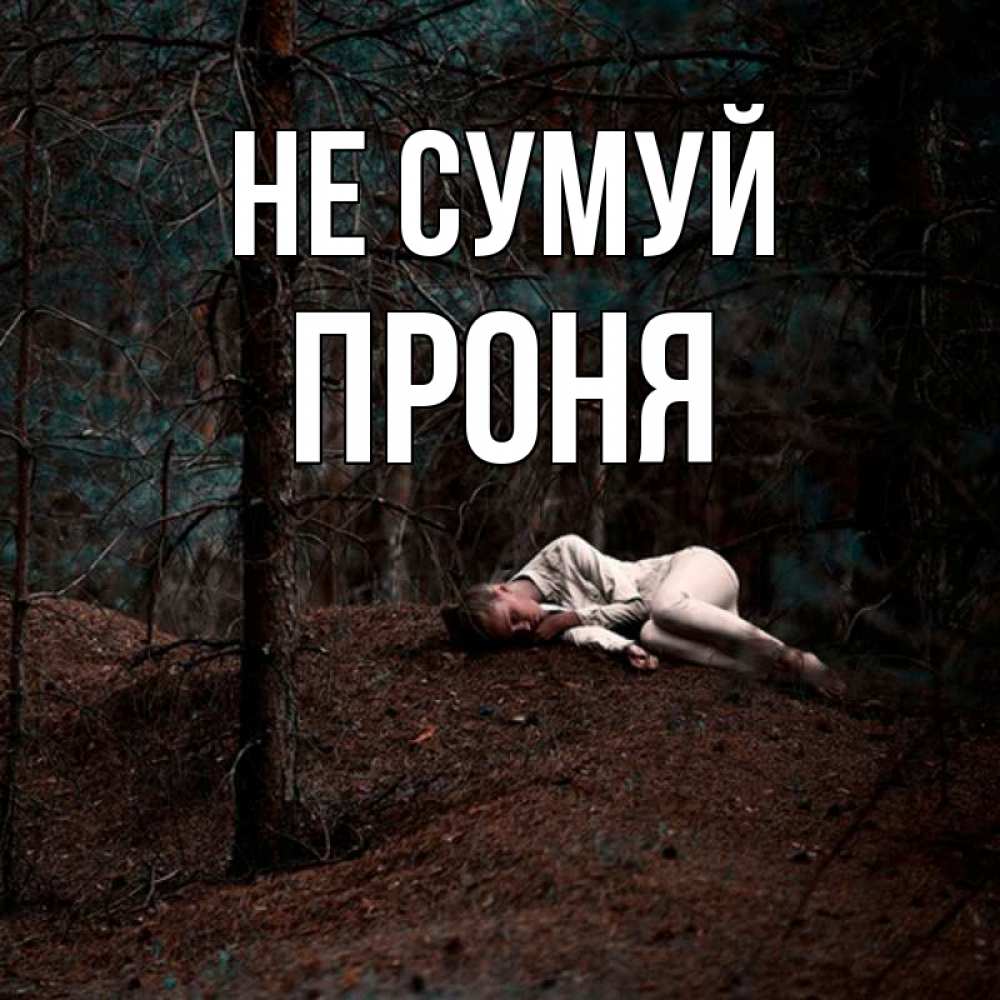 Открытка на каждый день з підписом, Проня Не сумуй лес Прикольна листівка з побажанням онлайн скачати безкоштовно 