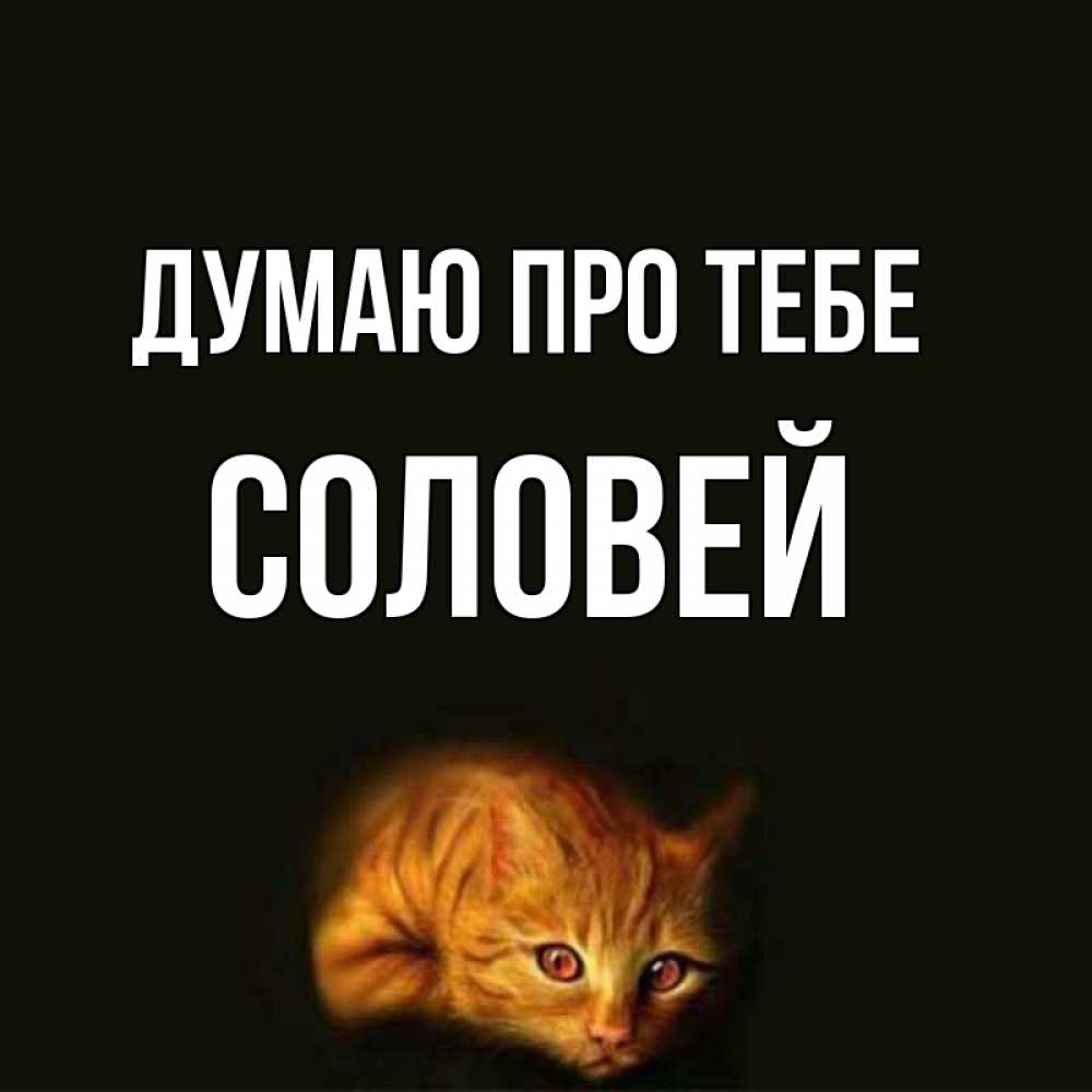 Открытка на каждый день з підписом, Соловей Думаю про тебе рыжий Прикольна листівка з побажанням онлайн скачати безкоштовно 