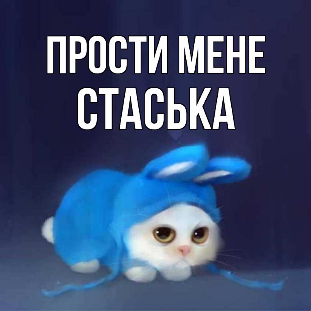 Открытка на каждый день з підписом, Стаська Прости мене невинный котозай просит прощения Прикольна листівка з побажанням онлайн скачати безкоштовно 