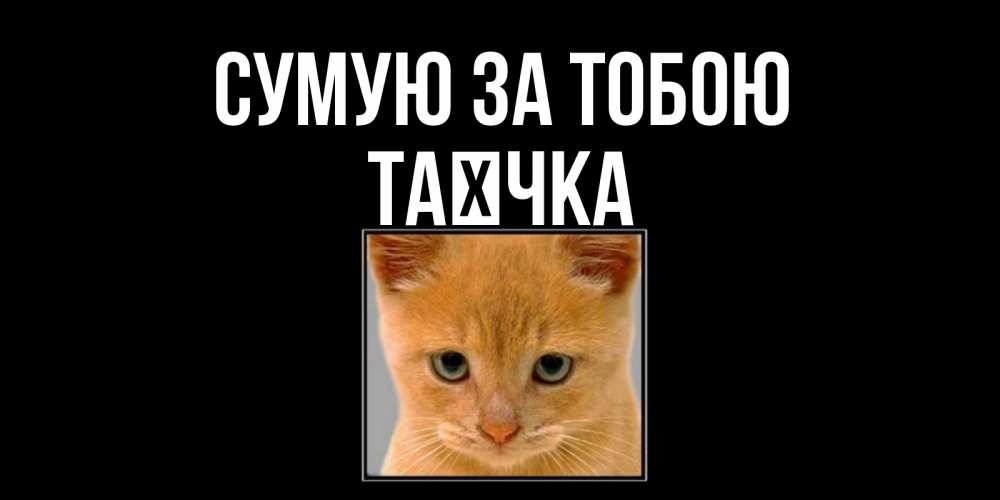 Открытка на каждый день з підписом, Таєчка Сумую за тобою открытки рыжий котенок скучает по тебе Прикольна листівка з побажанням онлайн скачати безкоштовно 