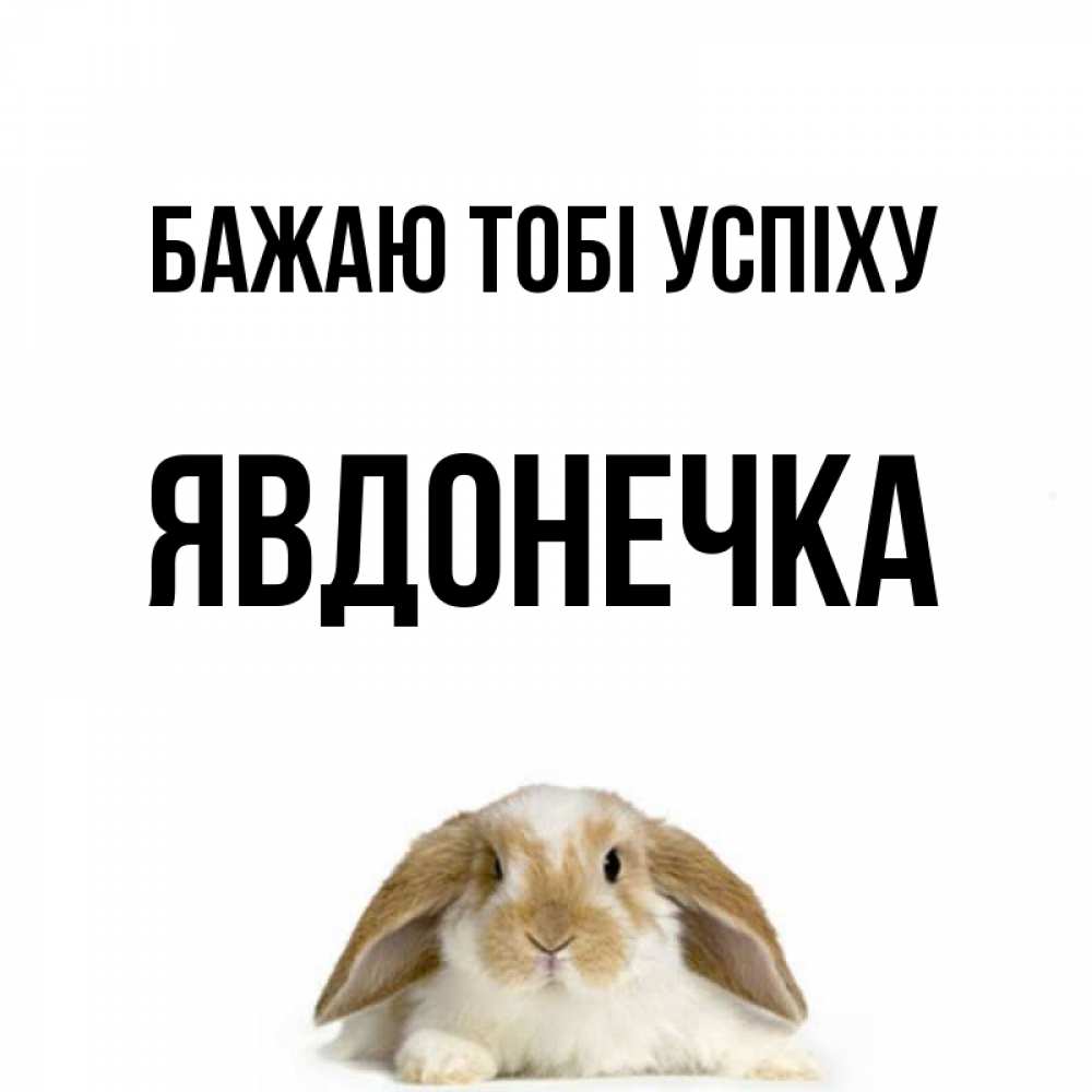 Открытка на каждый день з підписом, Явдонечка Бажаю тобі успіху открытки с произвольным текстом который можно вставить в открытку и создать ее самостоятельно бесплатно онлайн Прикольна листівка з побажанням онлайн скачати безкоштовно 