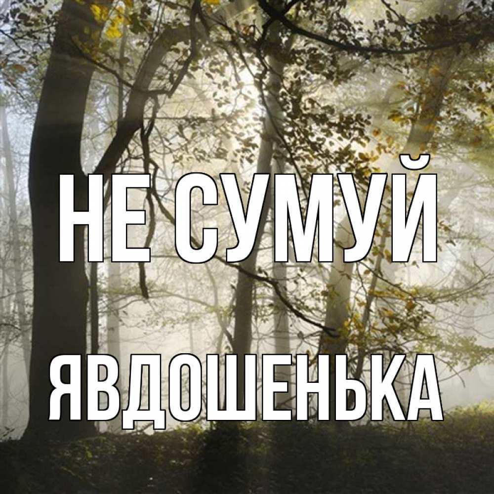 Открытка на каждый день з підписом, Явдошенька Не сумуй лес и свет Прикольна листівка з побажанням онлайн скачати безкоштовно 