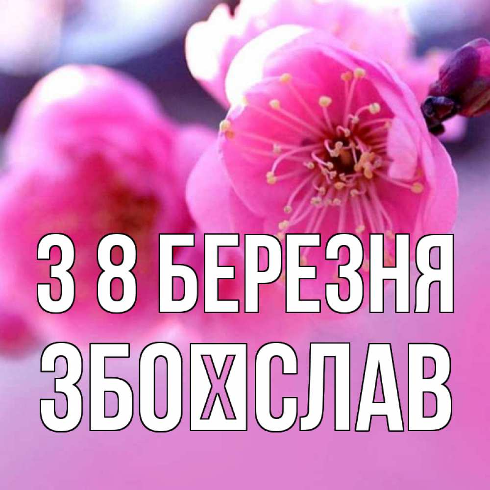 Открытка на каждый день з підписом, Збоїслав З 8 БЕРЕЗНЯ международный женский день Прикольна листівка з побажанням онлайн скачати безкоштовно 