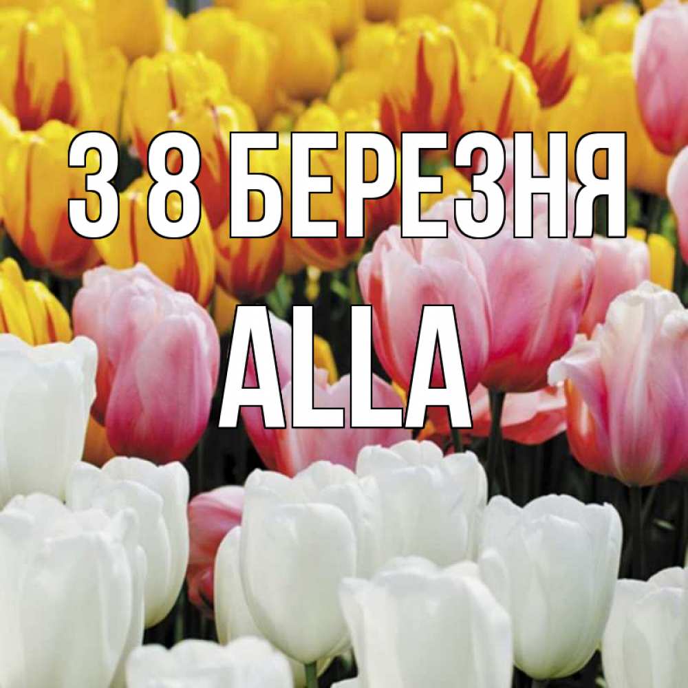 Открытка на каждый день з підписом, Alla З 8 БЕРЕЗНЯ разноцветные цветы Прикольна листівка з побажанням онлайн скачати безкоштовно 