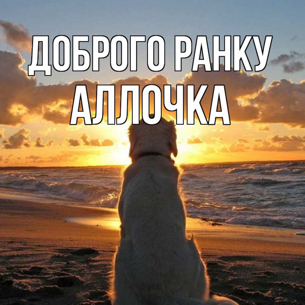Открытка на каждый день з підписом, Аллочка Доброго ранку восход солнца Прикольна листівка з побажанням онлайн скачати безкоштовно 