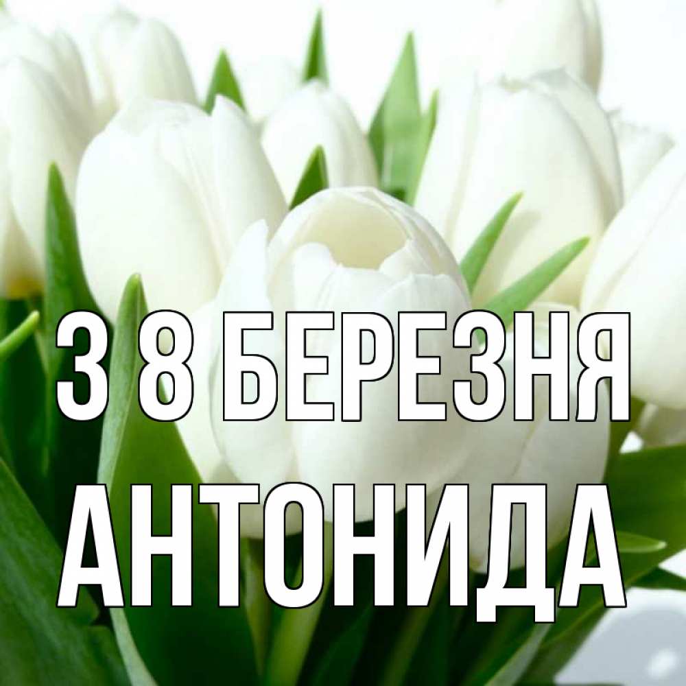 Открытка на каждый день з підписом, Антонида З 8 БЕРЕЗНЯ цветы Прикольна листівка з побажанням онлайн скачати безкоштовно 
