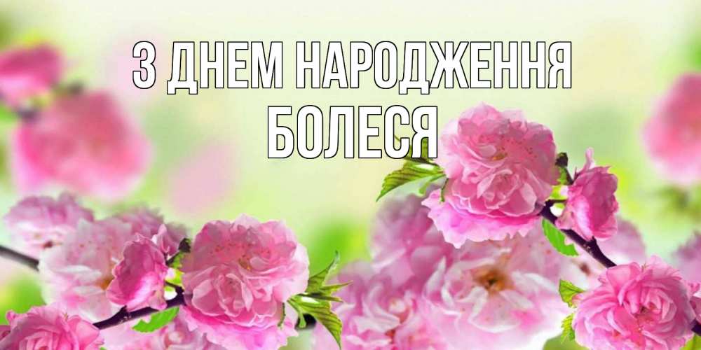 Открытка на каждый день з підписом, Болеся З Днем народження веточки с цветками Прикольна листівка з побажанням онлайн скачати безкоштовно 