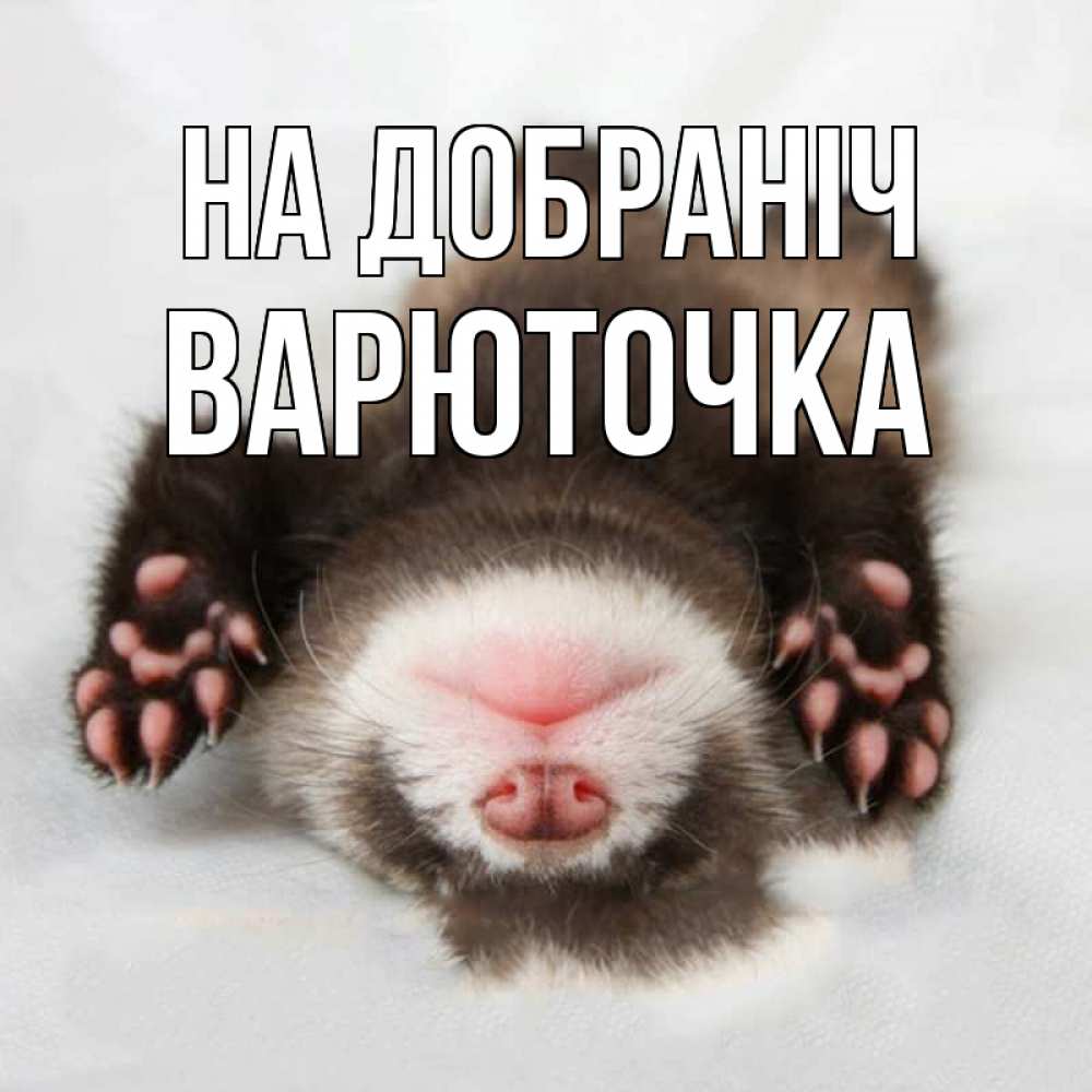 Открытка на каждый день з підписом, Варюточка На добраніч зверек Прикольна листівка з побажанням онлайн скачати безкоштовно 