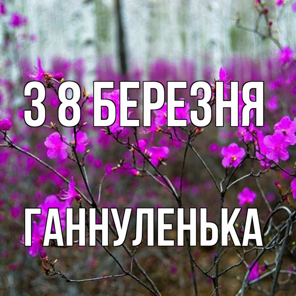 Открытка на каждый день з підписом, Ганнуленька З 8 БЕРЕЗНЯ дикие цветы Прикольна листівка з побажанням онлайн скачати безкоштовно 