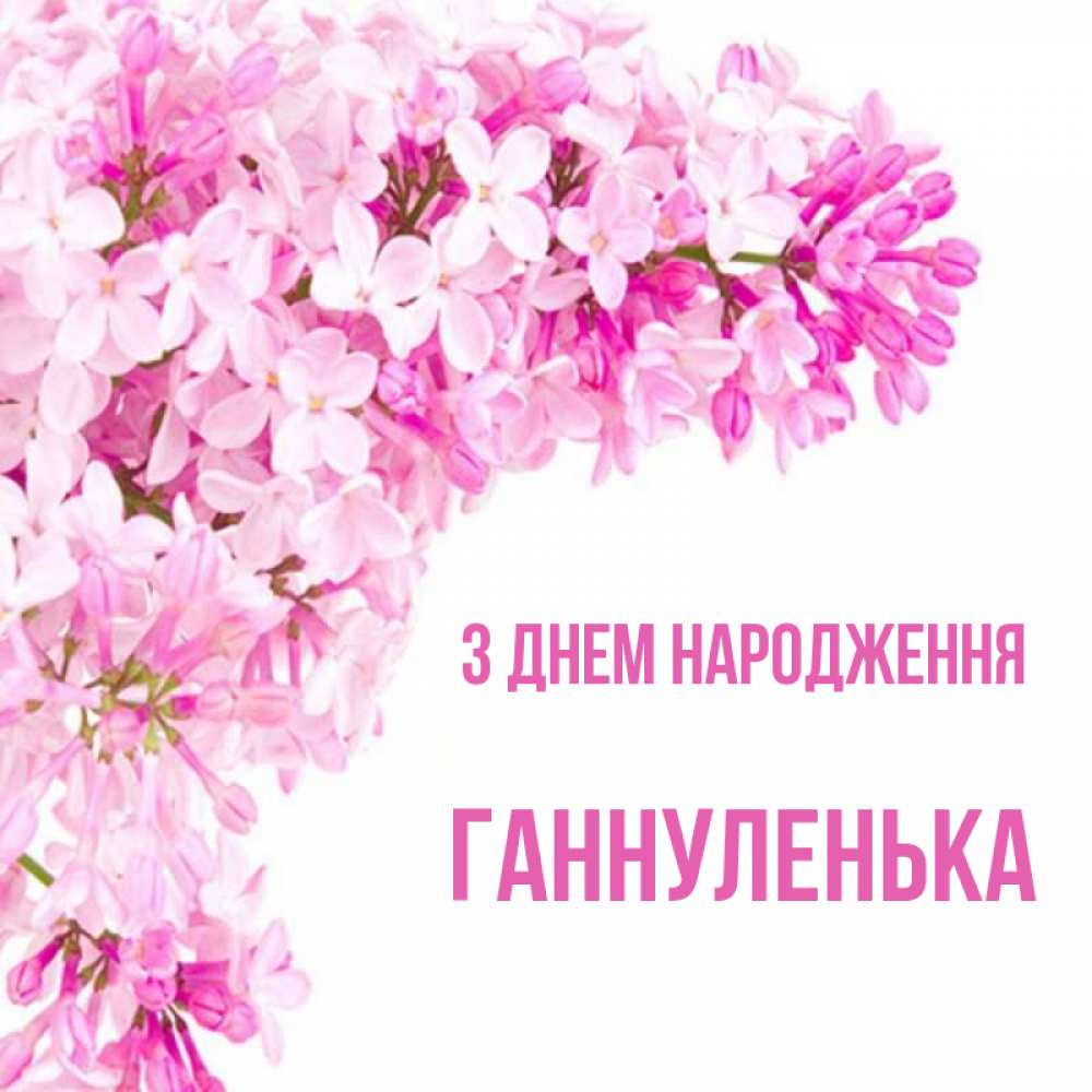 Открытка на каждый день з підписом, Ганнуленька З Днем народження Сирень на белом фоне Прикольна листівка з побажанням онлайн скачати безкоштовно 