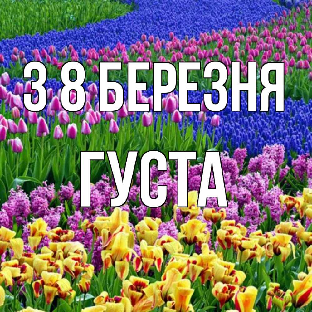 Открытка на каждый день з підписом, Густа З 8 БЕРЕЗНЯ цветы Прикольна листівка з побажанням онлайн скачати безкоштовно 