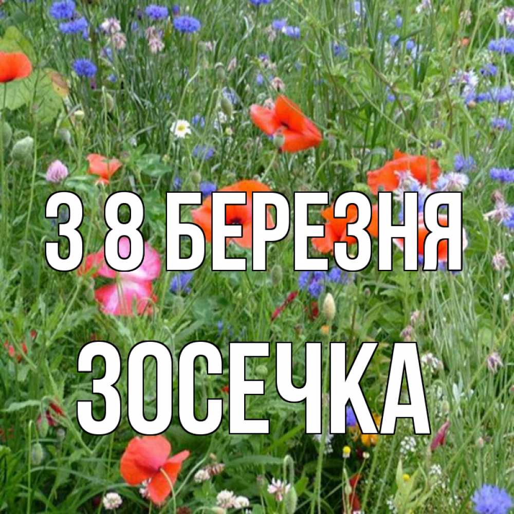 Открытка на каждый день з підписом, Зосечка З 8 БЕРЕЗНЯ международный женский день 4 Прикольна листівка з побажанням онлайн скачати безкоштовно 