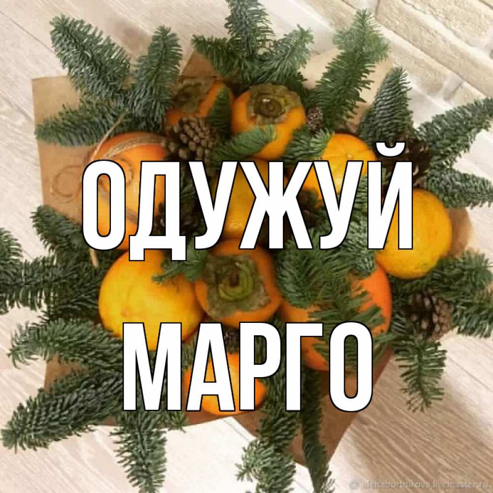 Открытка на каждый день з підписом, Марго Одужуй апельсины и хурьма Прикольна листівка з побажанням онлайн скачати безкоштовно 
