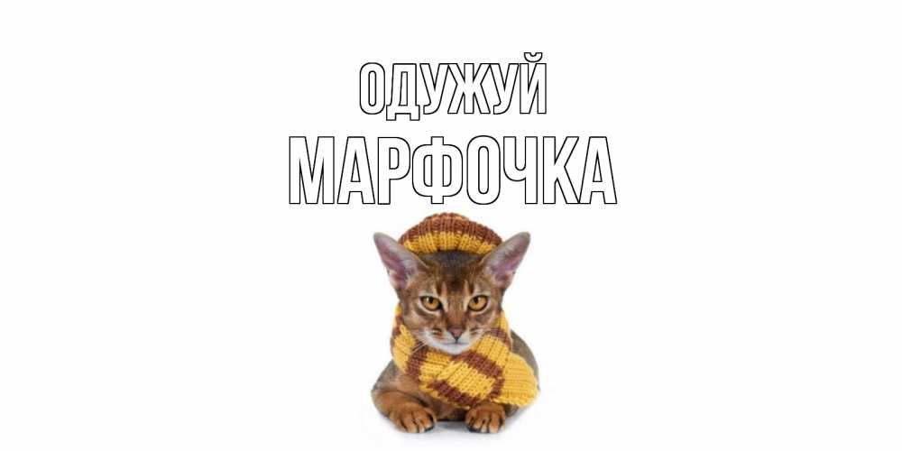 Открытка на каждый день з підписом, Марфочка Одужуй родные не болейте Прикольна листівка з побажанням онлайн скачати безкоштовно 