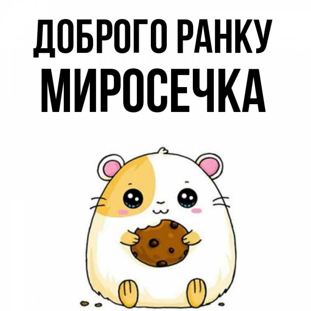 Открытка на каждый день з підписом, Миросечка Доброго ранку есть печеньку. Утречко Прикольна листівка з побажанням онлайн скачати безкоштовно 