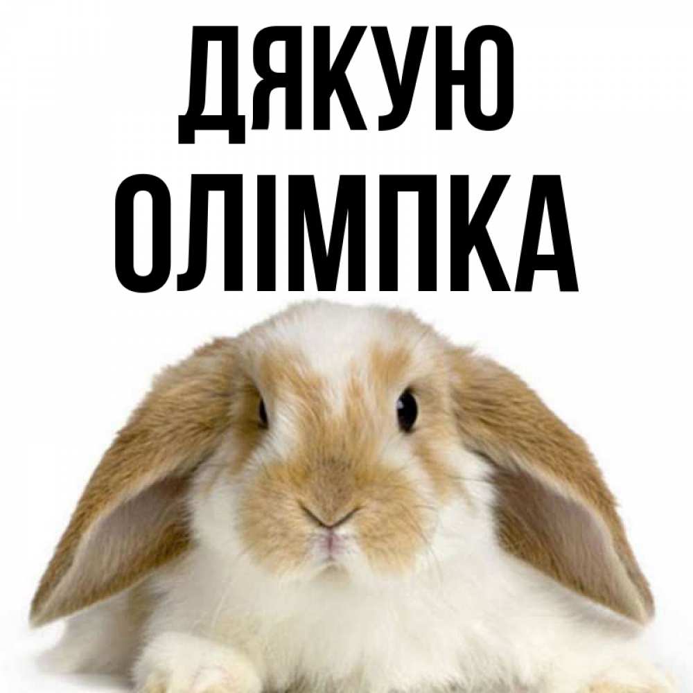 Открытка на каждый день з підписом, Олімпка Дякую коричнево белый заяц Прикольна листівка з побажанням онлайн скачати безкоштовно 