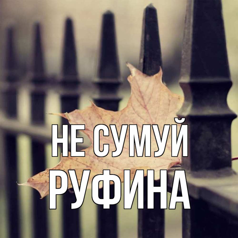 Открытка на каждый день з підписом, Руфина Не сумуй лист клена Прикольна листівка з побажанням онлайн скачати безкоштовно 