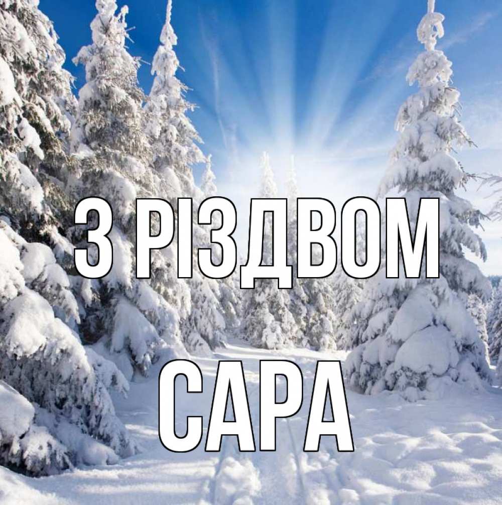 Открытка на каждый день з підписом, Сара З Різдвом зима, лес Прикольна листівка з побажанням онлайн скачати безкоштовно 