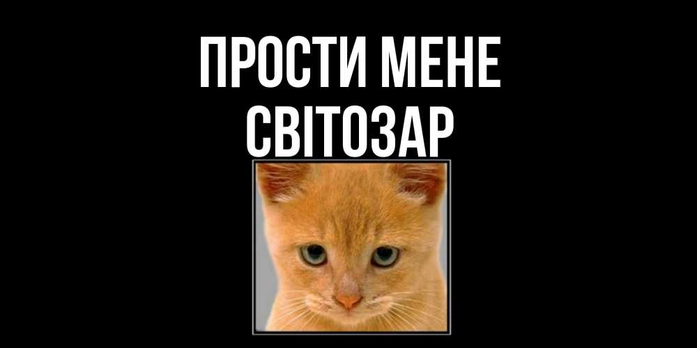 Открытка на каждый день з підписом, Світозар Прости мене рыжий грустный кот просит прощения Прикольна листівка з побажанням онлайн скачати безкоштовно 