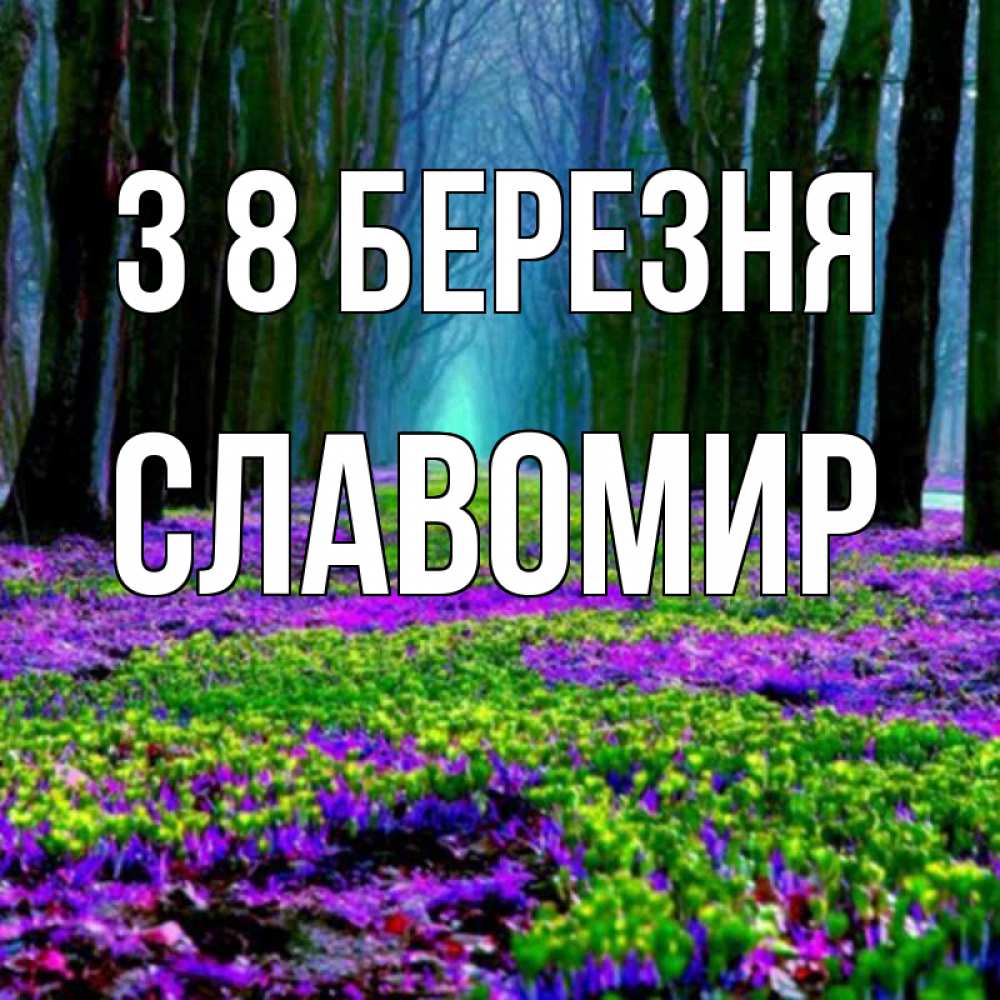 Открытка на каждый день з підписом, Славомир З 8 БЕРЕЗНЯ фиолетовые цветы в лесу 1 Прикольна листівка з побажанням онлайн скачати безкоштовно 