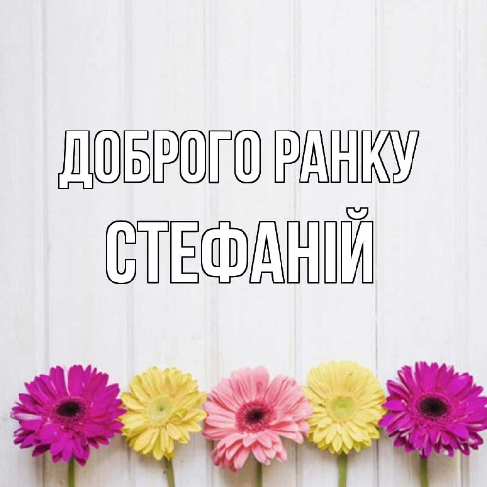 Открытка на каждый день з підписом, Стефаній Доброго ранку красный желтый и розовый цветок Прикольна листівка з побажанням онлайн скачати безкоштовно 