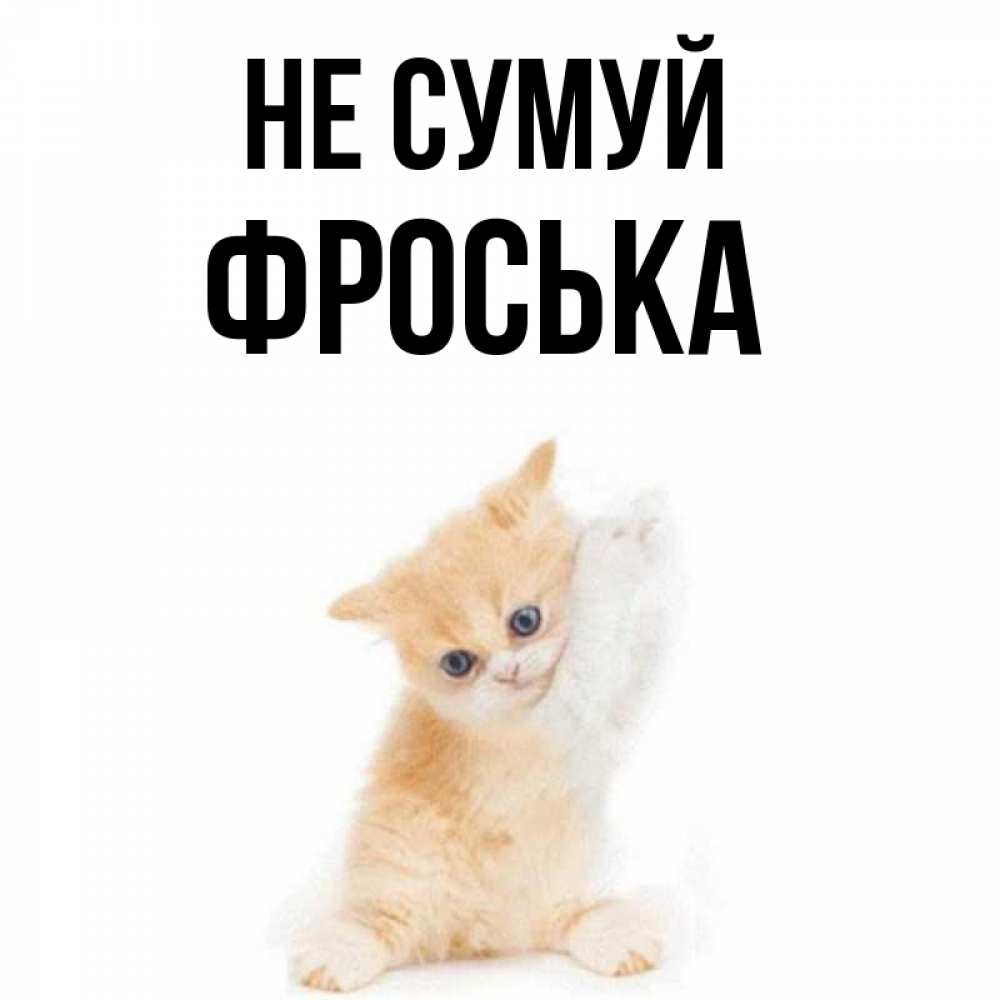Открытка на каждый день з підписом, Фроська Не сумуй просящий кот Прикольна листівка з побажанням онлайн скачати безкоштовно 