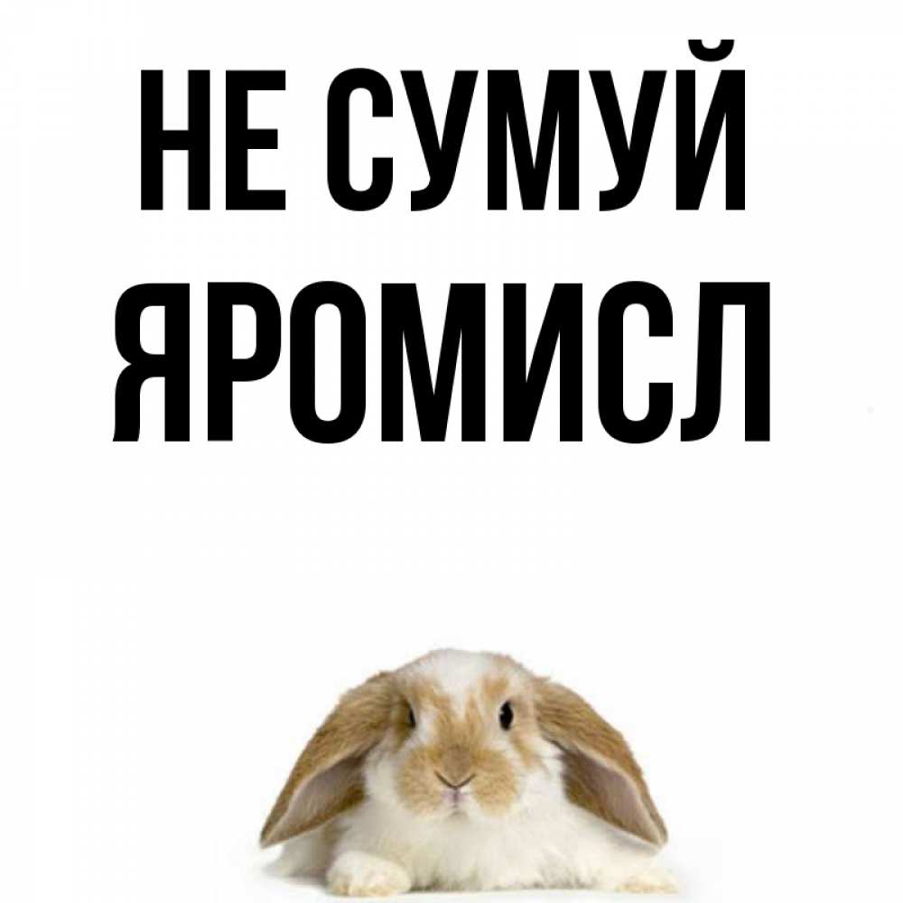 Открытка на каждый день з підписом, Яромисл Не сумуй коричнево белый заяц с большими ушками Прикольна листівка з побажанням онлайн скачати безкоштовно 