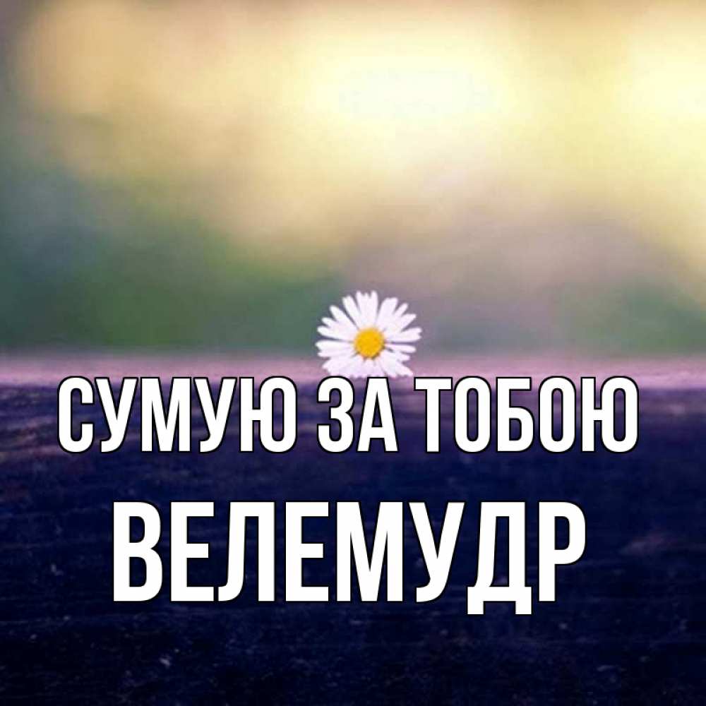 Открытка на каждый день з підписом, Велемудр Сумую за тобою приходи в гости Прикольна листівка з побажанням онлайн скачати безкоштовно 