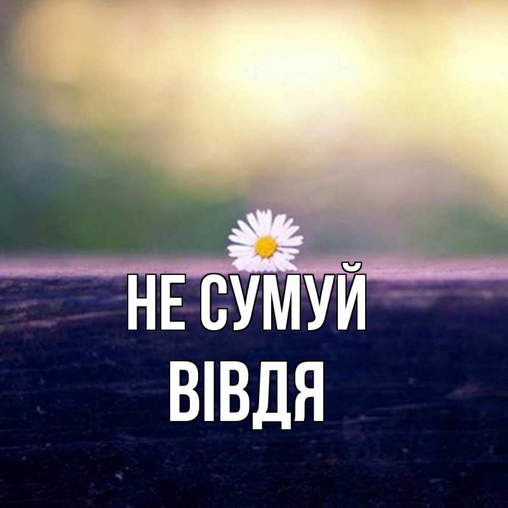 Открытка на каждый день з підписом, Вівдя Не сумуй красота Прикольна листівка з побажанням онлайн скачати безкоштовно 