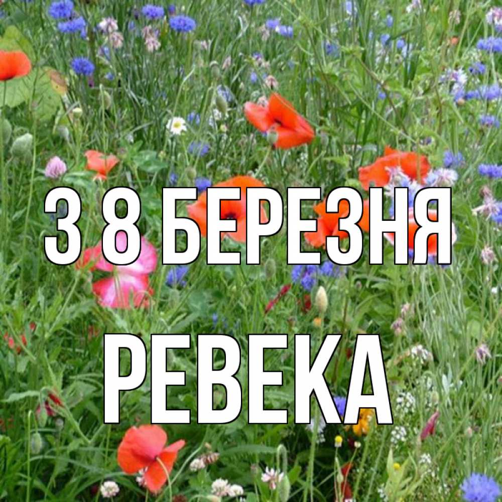 Открытка на каждый день з підписом, Ревека З 8 БЕРЕЗНЯ международный женский день 4 Прикольна листівка з побажанням онлайн скачати безкоштовно 