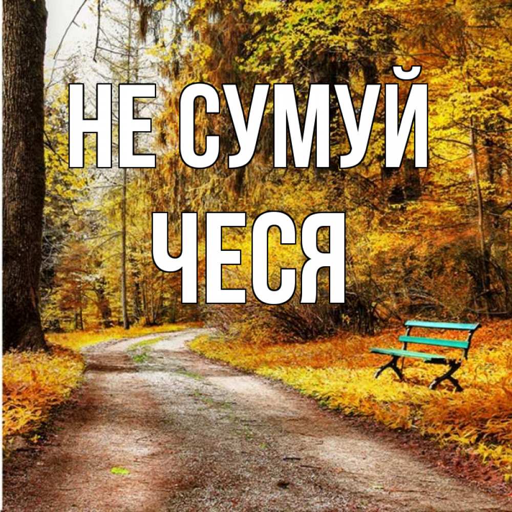 Открытка на каждый день з підписом, Чеся Не сумуй зеленая лавочка Прикольна листівка з побажанням онлайн скачати безкоштовно 