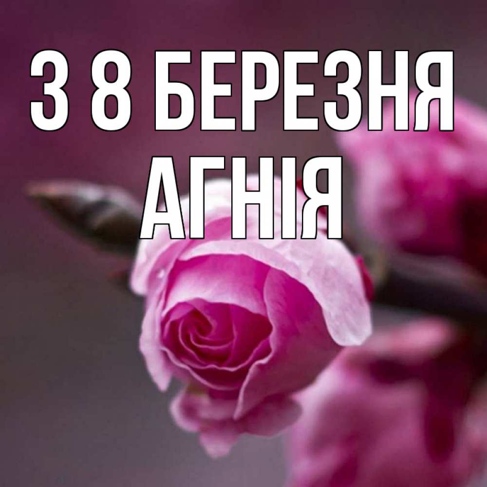 Открытка на каждый день з підписом, Агнія З 8 БЕРЕЗНЯ весна Прикольна листівка з побажанням онлайн скачати безкоштовно 