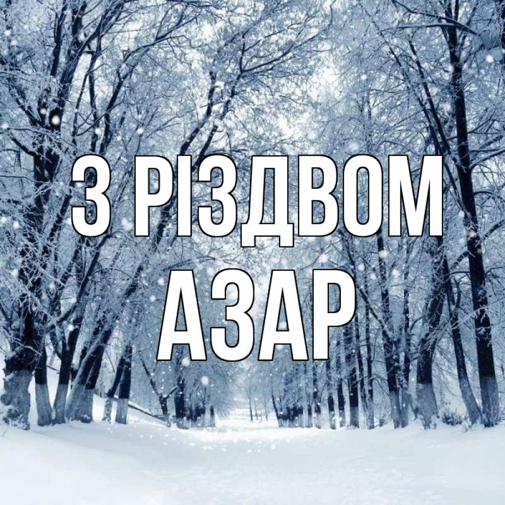 Открытка на каждый день з підписом, Азар З Різдвом снег, лес, парк Прикольна листівка з побажанням онлайн скачати безкоштовно 
