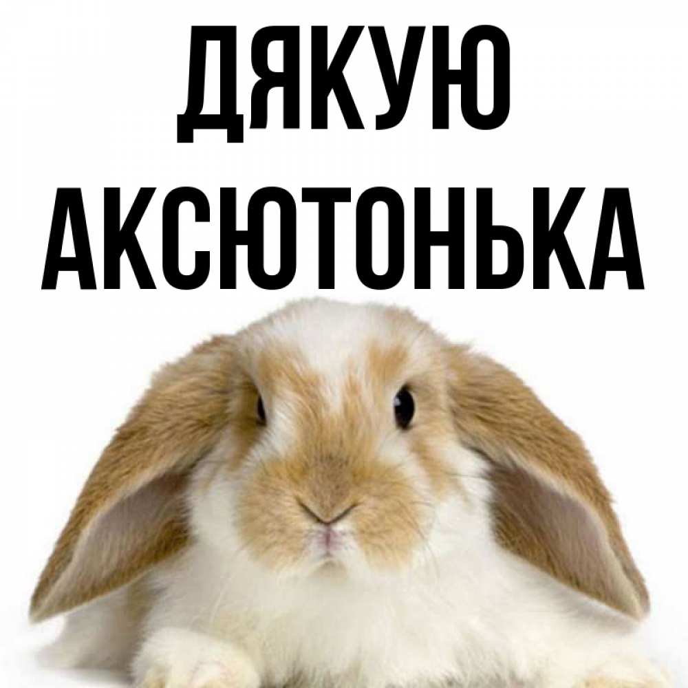 Открытка на каждый день з підписом, Аксютонька Дякую коричнево белый заяц Прикольна листівка з побажанням онлайн скачати безкоштовно 