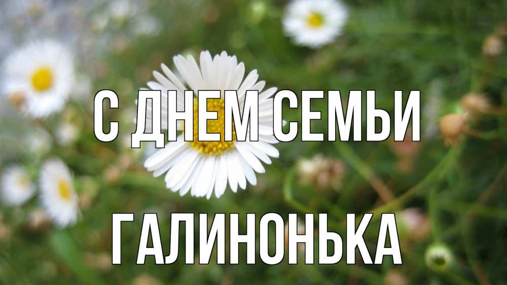 Открытка на каждый день з підписом, Галинонька С днем семьи с днем семьи Прикольна листівка з побажанням онлайн скачати безкоштовно 