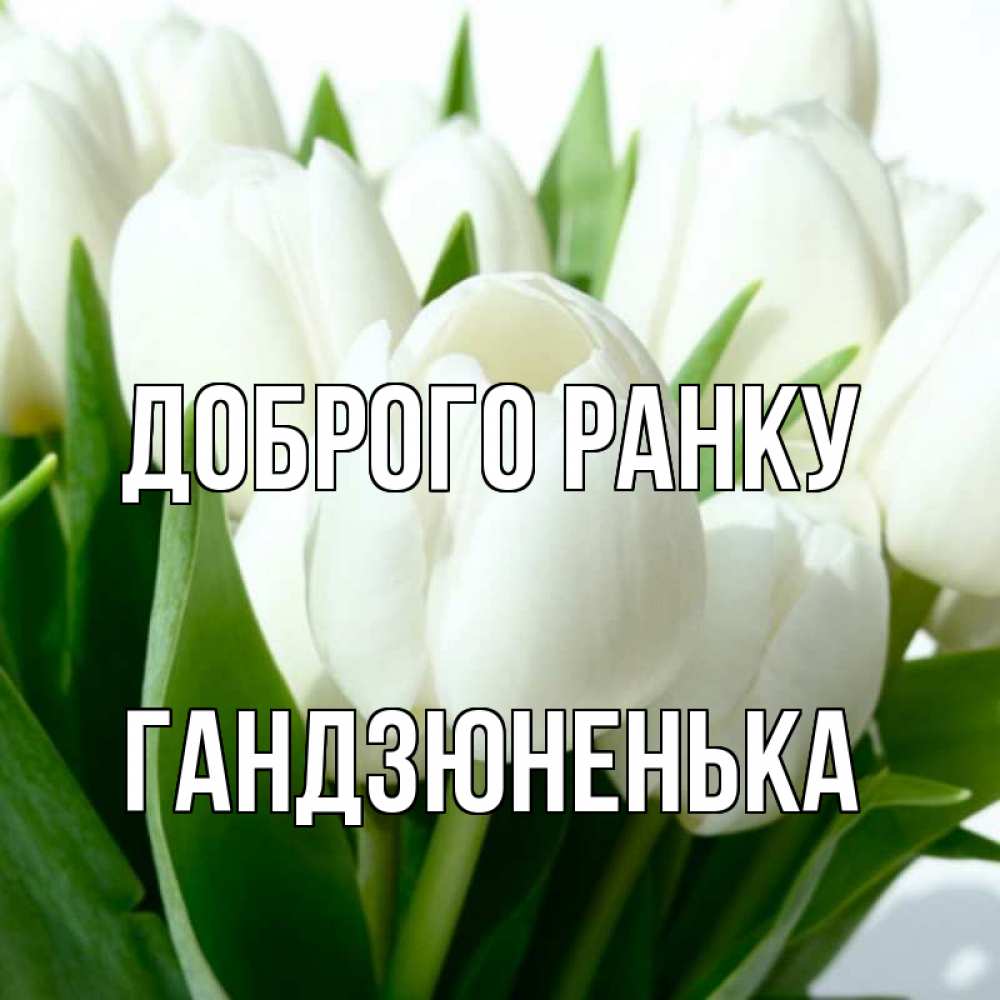 Открытка на каждый день з підписом, Гандзюненька Доброго ранку открытки на каждый день по именам Прикольна листівка з побажанням онлайн скачати безкоштовно 