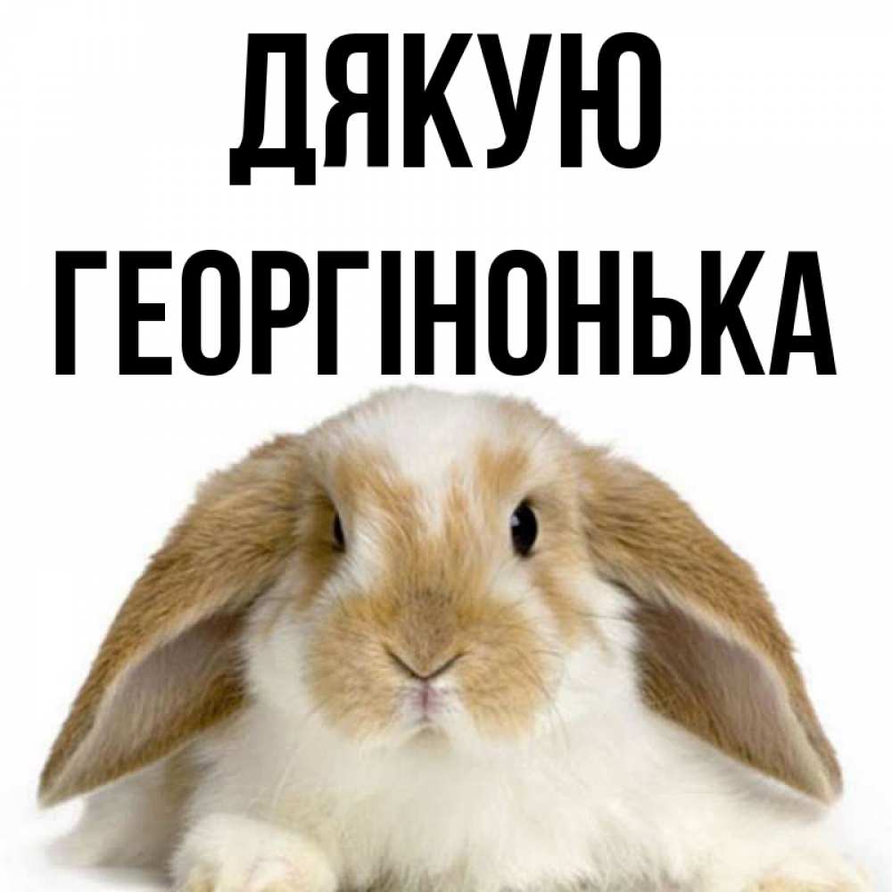 Открытка на каждый день з підписом, Георгінонька Дякую коричнево белый заяц Прикольна листівка з побажанням онлайн скачати безкоштовно 