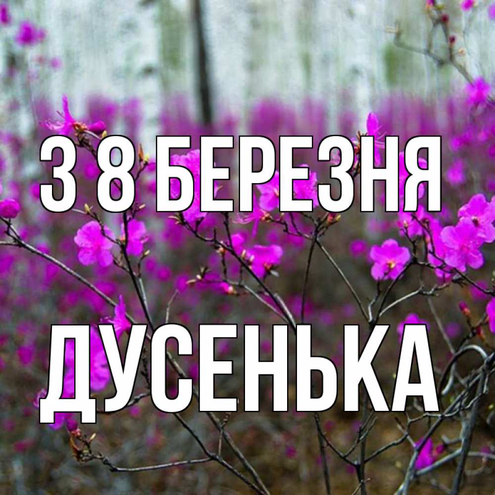 Открытка на каждый день з підписом, Дусенька З 8 БЕРЕЗНЯ дикие цветы Прикольна листівка з побажанням онлайн скачати безкоштовно 