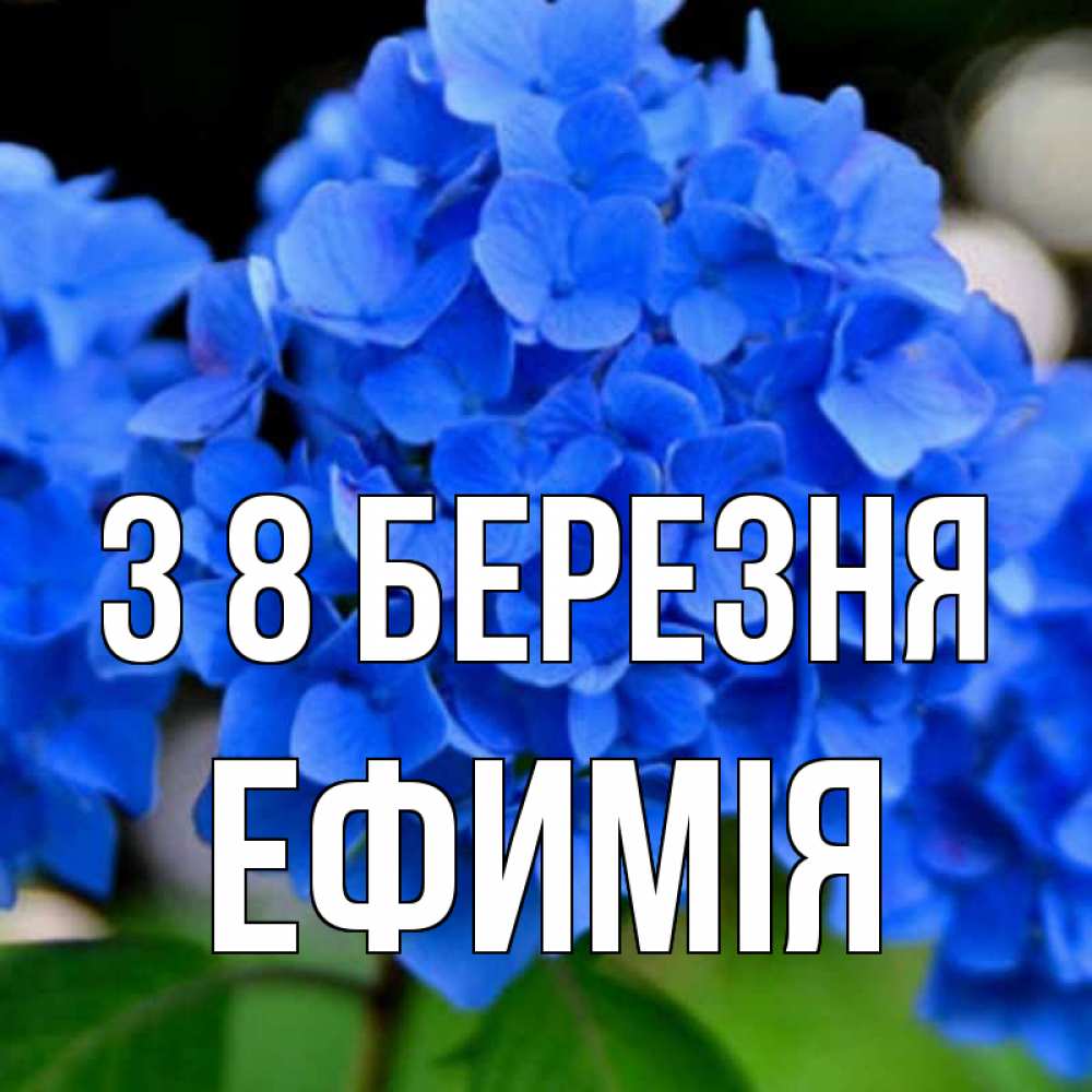 Открытка на каждый день з підписом, Ефимія З 8 БЕРЕЗНЯ синие цветы Прикольна листівка з побажанням онлайн скачати безкоштовно 