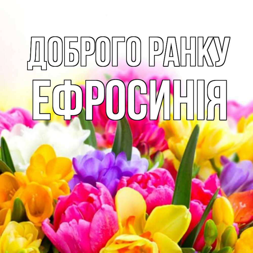 Открытка на каждый день з підписом, Ефросинія Доброго ранку создать открытку со свое подписью Прикольна листівка з побажанням онлайн скачати безкоштовно 