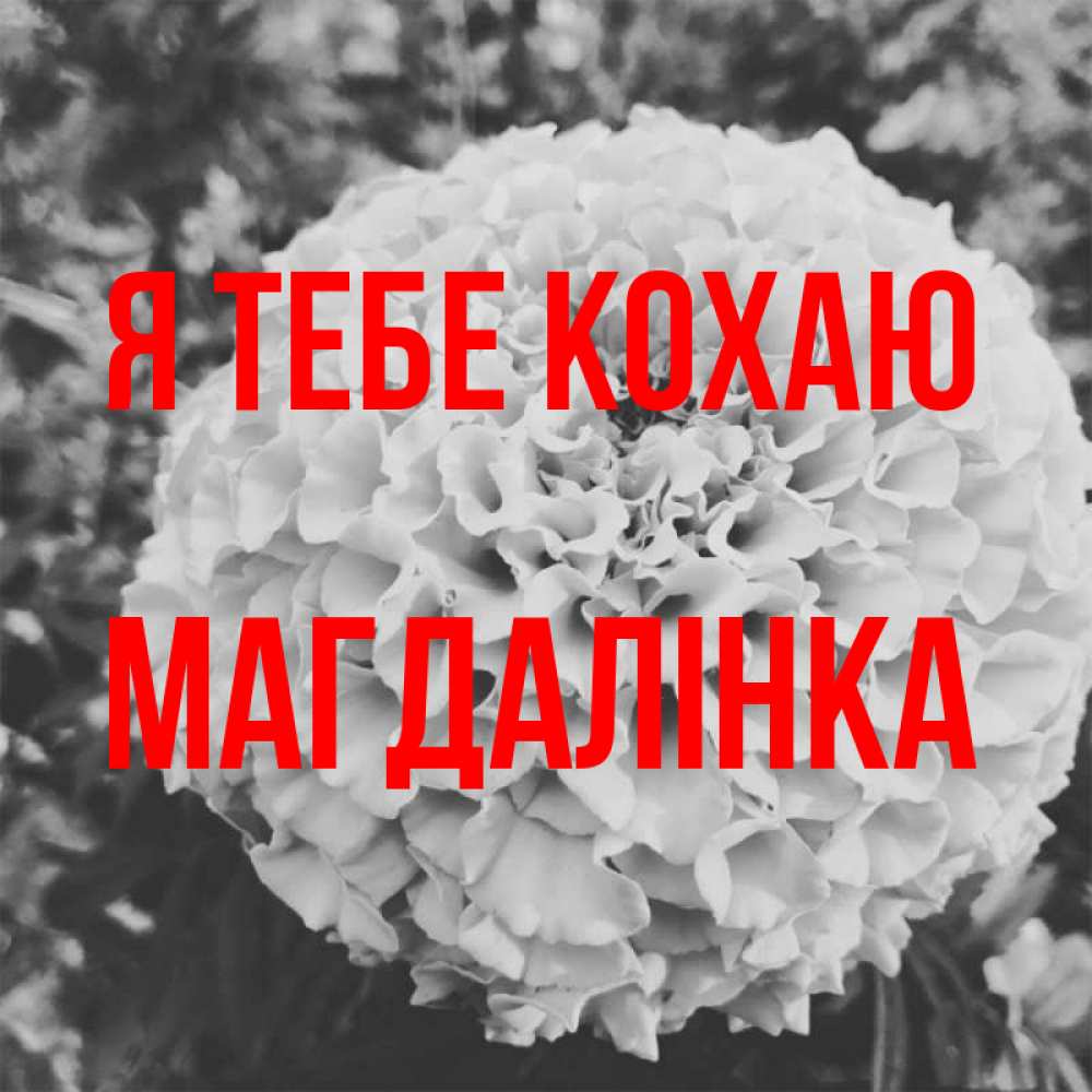 Открытка на каждый день з підписом, Магдалінка Я тебе кохаю подпись Прикольна листівка з побажанням онлайн скачати безкоштовно 