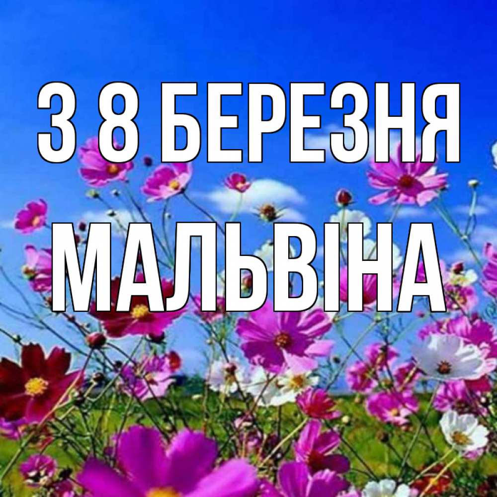 Открытка на каждый день з підписом, Мальвіна З 8 БЕРЕЗНЯ цветы Прикольна листівка з побажанням онлайн скачати безкоштовно 