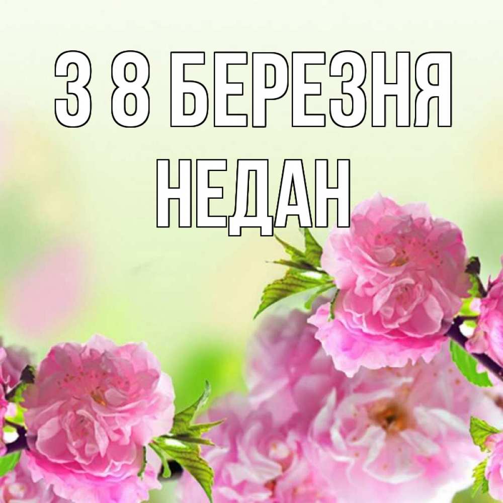 Открытка на каждый день з підписом, Недан З 8 БЕРЕЗНЯ цветы Прикольна листівка з побажанням онлайн скачати безкоштовно 