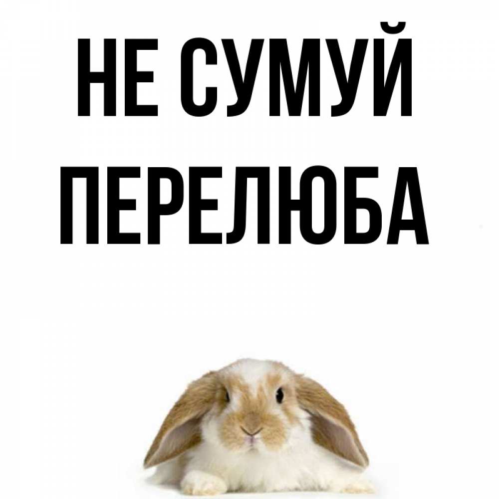 Открытка на каждый день з підписом, Перелюба Не сумуй коричнево белый заяц с большими ушками Прикольна листівка з побажанням онлайн скачати безкоштовно 