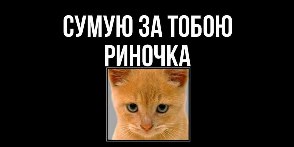 Открытка на каждый день з підписом, Риночка Сумую за тобою открытки рыжий котенок скучает по тебе Прикольна листівка з побажанням онлайн скачати безкоштовно 