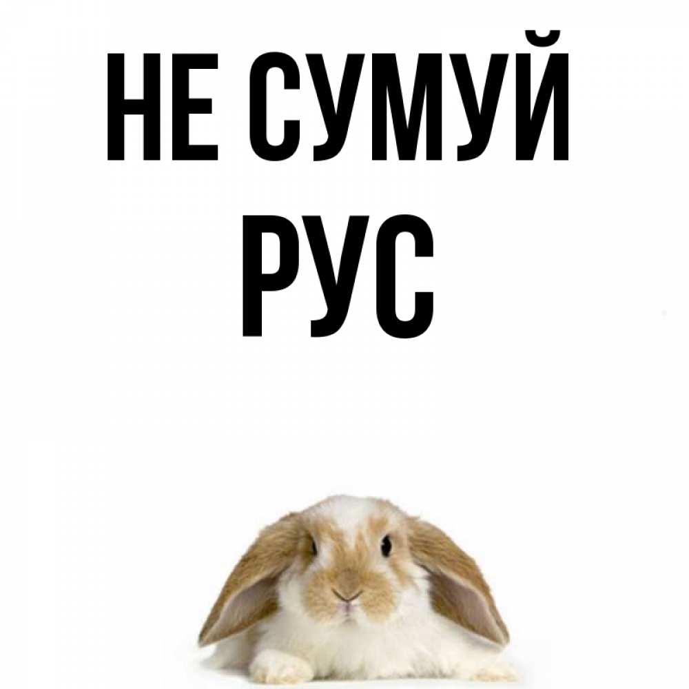 Открытка на каждый день з підписом, Рус Не сумуй коричнево белый заяц с большими ушками Прикольна листівка з побажанням онлайн скачати безкоштовно 
